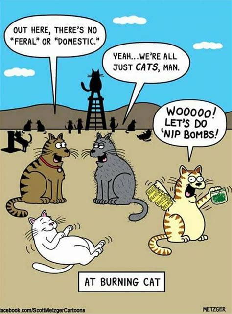 Pin By Barbara Shoup On Cats Kitty Cartoons Cat Jokes Cat Comics