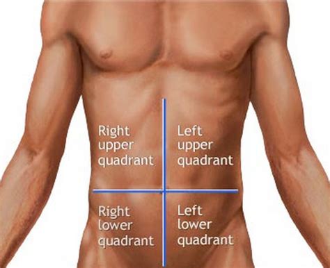 This is because blood pumped from the left side of the heart has to circulate to the organs and requires the left ventricle to have enough power to get it there whereas the right side pumps simply through the lungs and back to the left. Liver Pain - Liver Location, Causes, Symptoms and Treatment