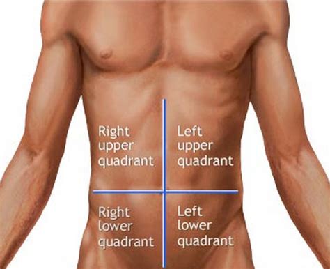 People may also experience pain in their chest or back. Liver Pain - Liver Location, Causes, Symptoms and Treatment