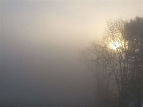 Morning Sun Breaks Through The Fog Smithsonian Photo Contest