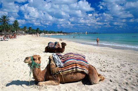 Djerba The Paradise Island Of Tunisia Bloglamegara