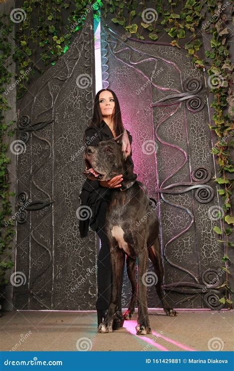Beautiful Young Woman Posing With Her Great Dane Dog In The Studio Near