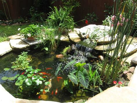 If you'd like to enjoy the unique beauty of this plant but control the size, consider growing elephant ear plants in pots. 89 best ideas about Pond Plants on Pinterest | Gardens ...