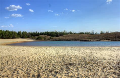 Long View Of The Beach In The Black River Forest Image Free Stock