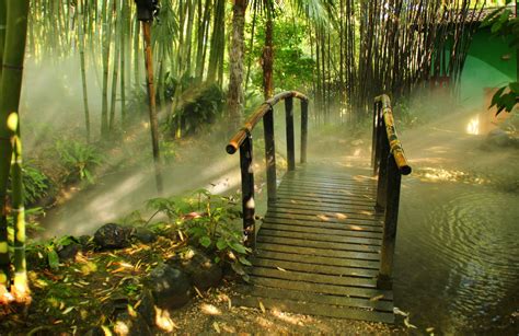 Download Bamboo 4k Forest Garden With Bridge Wallpaper