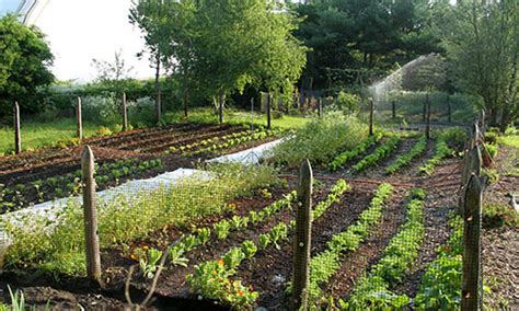 I have not seen any mention of chemicals so far. Organic Garden | Zoo New England
