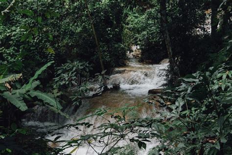 Waterfall In Rainforest Cascade In Forest Water Flowing In Tropical