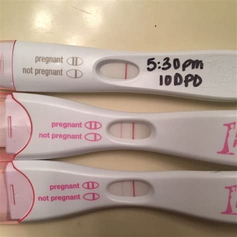 Pregnancy Test Days After Ovulation Pregnancy Test Hot Sex Picture