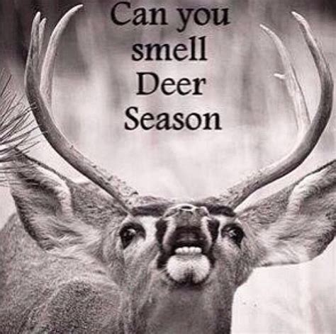 Deer Hunting Quotes Quotesgram