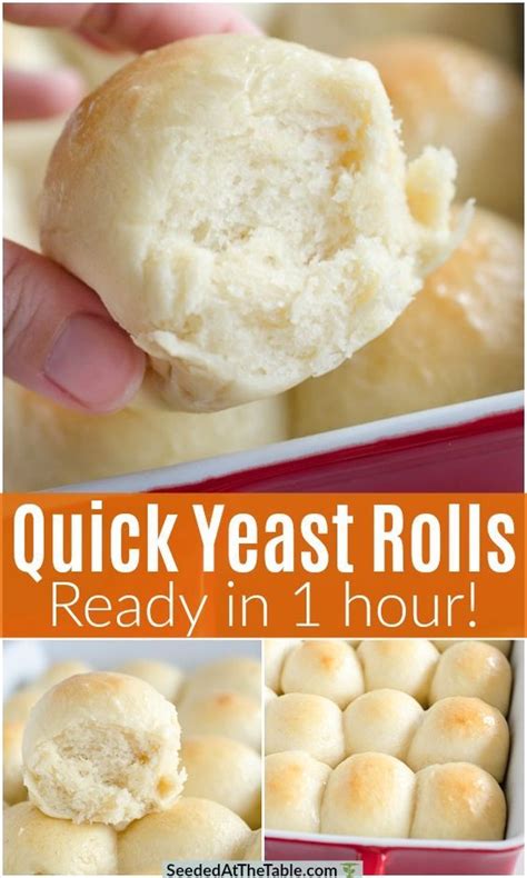 quick rolls recipe quick yeast rolls easy homemade rolls homemade dinner rolls school yeast