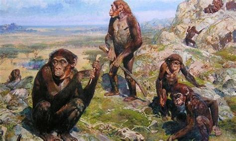 3 Million Year Old Ancestor Had Human Like Hands Study World Dawncom