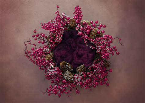 Save 20% with code unsplash20. Newborn Digital Backdrop (Very Berry) ⋆ Newborn Digital ...