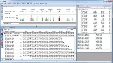 Dnastar Templated Genome Assembly Youtube