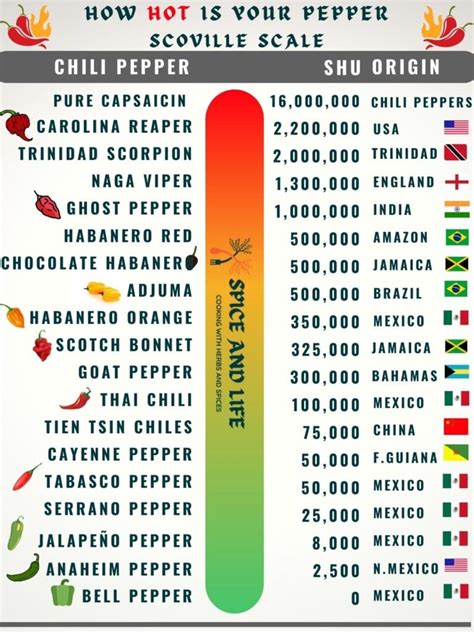 The Scoville Scale A Comprehensive Guide Spice And Life