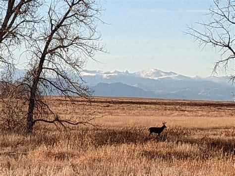 Rocky Mountain Arsenal National Wildlife Refuge Back Roads And Other