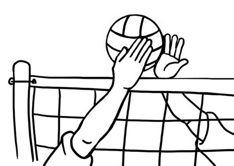 Volleyball Ball And Net Clipart Clipart Best