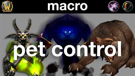 There are 6 basic abilities for pets: WoW Classic Quick Tips | Pet Control Macros for Warlock ...