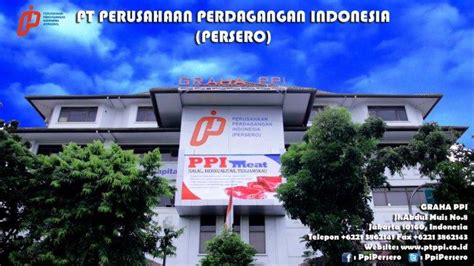 Pixels per inch (ppi) and pixels per centimetre (ppcm or pixels/cm) are measurements of the pixel density of an electronic image device, such as a computer monitor or television display. PT Perusahaan Perdagangan Indonesia (Persero ...