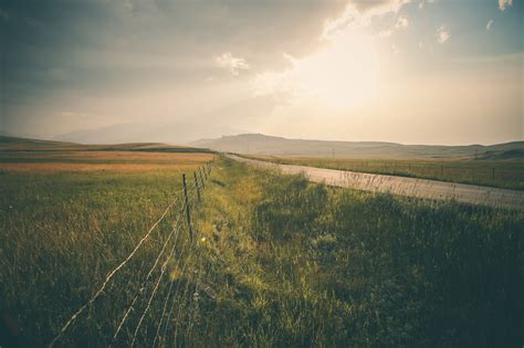 Free Images Landscape Sea Tree Nature Outdoor Horizon Marsh