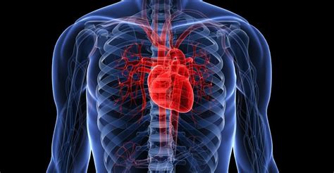 Aurax Medicamentos Para Insuficiencia Cardiaca Essentials