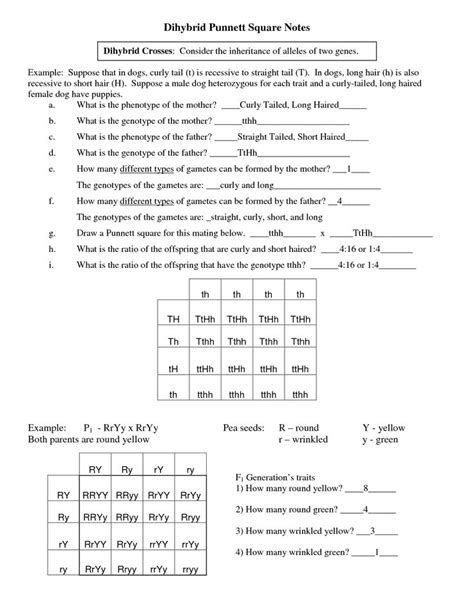 Upload an image and add blanks for students to fill in the missing words. Dihybrid Crosses Practice Problems Worksheet Answer Key | schematic and wiring diagram