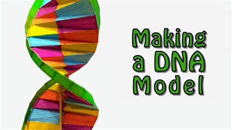 Making A Dna Model Youtube