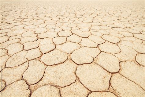Parched Dry Ground On The Desert Texture Pattern By Stocksy