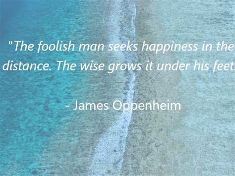 66 Quotes About Materialism And Happiness