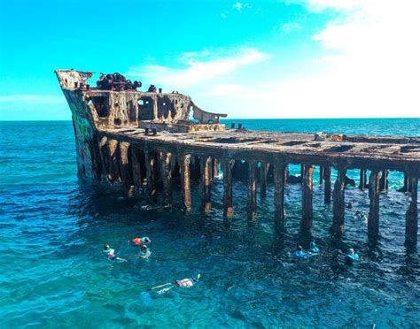 Sapona Shipwreck Snorkeling Bim Shore Excursions Carnival Cruise Line