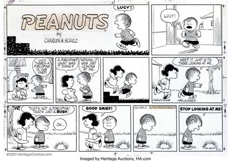 Charles Schulz Original Comic Strip Art For Peanuts Sunday Dated