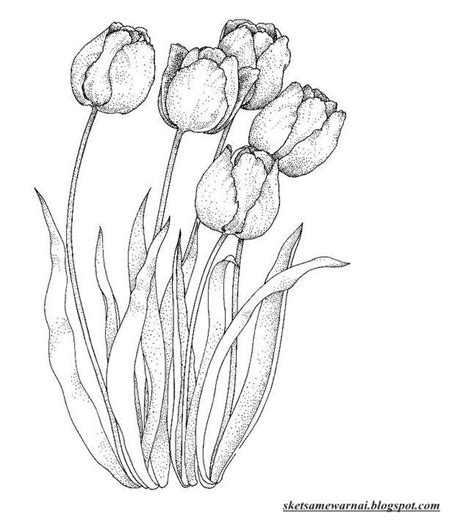 Sketsa Buket Bunga Tulip