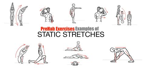 The Art Of Stretching Prehab Exercises