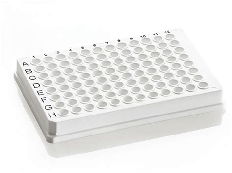 Pcr Plate 96 Well Skirted Azenta Life Sciences