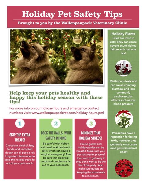 Pet Holiday Safety Tips