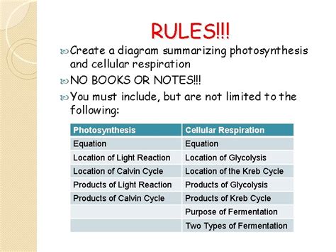 Cellular respiration overview pogil answer key | www. Pogil Answer Key Cellular Respiration / 2