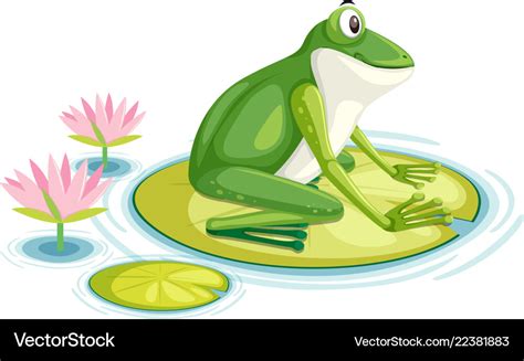 A Frog On Lily Pad Royalty Free Vector Image Vectorstock