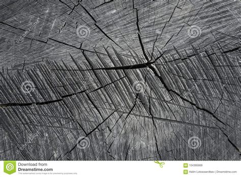 Top View Of Old Stump With Beautiful Wood Cracks Old Wood Flooring For