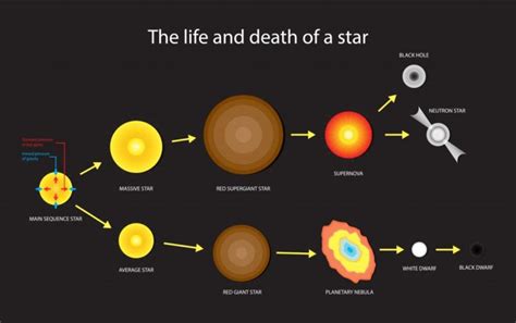 D20200924 Life And Death Of A Star Stellar Evolution Vector Naskys La