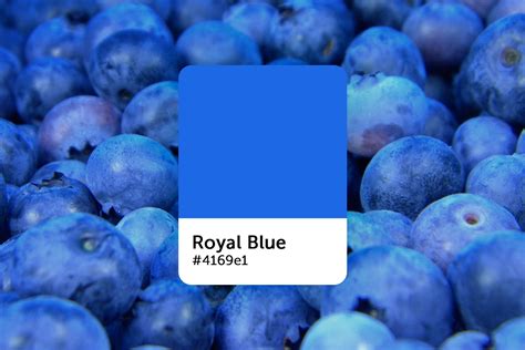 Royal Blue Color Swatch