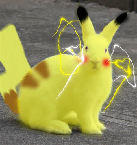 Realistic Pikachu By Silverkazeninja On Deviantart