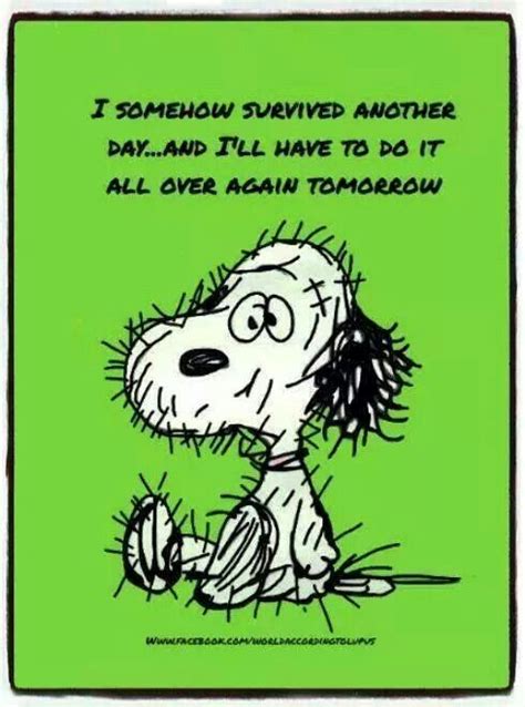 Do It All Over Again Tomorrow Snoopy Funny Snoopy Snoopy Quotes