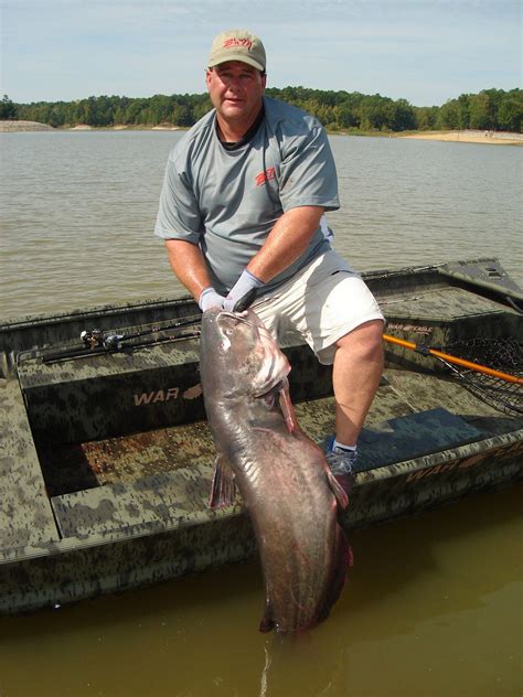 The official freshwater fish of alabama is the largemouth bass. Adventures of the whiskery kind--giant catfish of North ...