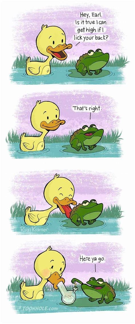 Good Friend Frog Meme Guy