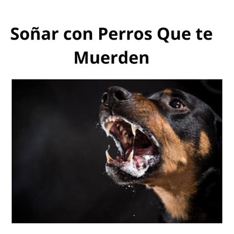 1 Soñar Con Perros Que Te Muerden Significa 2021