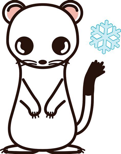 Short Tailed Weasel Clipart Free Download Transparent Png Creazilla