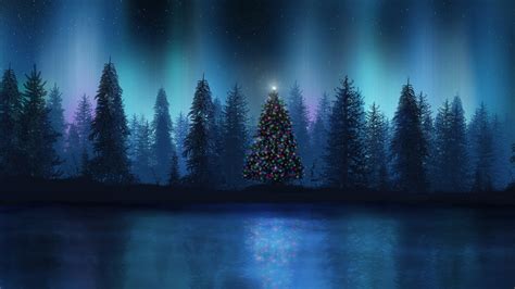 Christmas Tree And Lake During Night Winter Hd Nature Wallpapers Hd