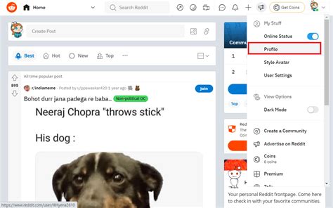 How To See Hidden Posts On Reddit Techcult