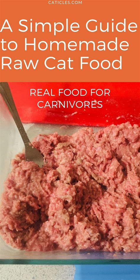 Raw cat food diet can contain raw meaty bones, not cooked ones! Easy Homemade Cat Food Plus Supplements Options - Caticles ...