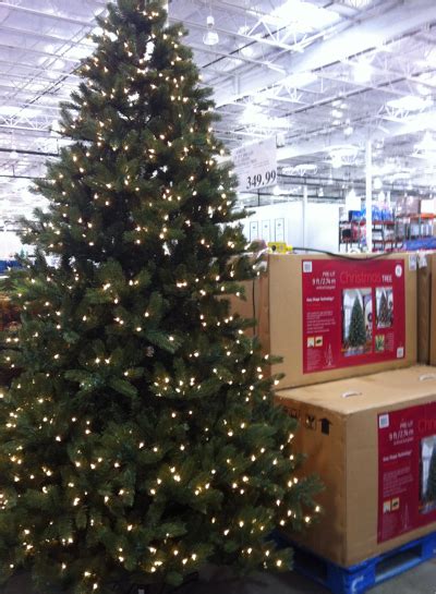 Check spelling or type a new query. Costco - Christmas Tree prices, Christmas Decoration prices