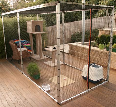 Safety Outdoors Cat Enclosures And Cages Diy Cat